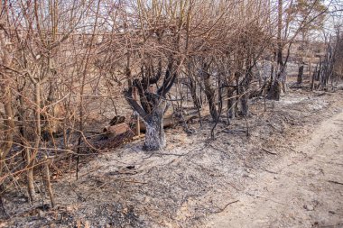 Güçlü bir yangından sonra kentsel bir yerleşimin kalıntıları restorasyonun ötesinde büyük bir alanı tamamen yok etti.