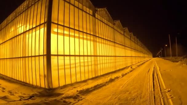 在一年中寒冷的季节 一个现代化的温室在夜间紧闭着 — 图库视频影像