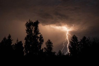 Gece gök gürültülü bir fırtınada, karanlık gökyüzüne karşı, bir yangına neden olan bir ormanda, yağmurlu bir fırtınada güzel bir yıldırım.