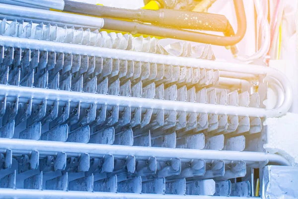 close-up of the insides of a home refrigerator during cleaning and repair service at an official diagnostic center