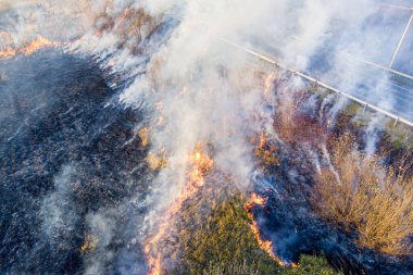 Ölü odun ateşi, gün batımında bir kuadkopterden çekildi.