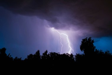 Gece gök gürültülü bir fırtınada, karanlık gökyüzüne karşı, bir yangına neden olan bir ormanda, yağmurlu bir fırtınada güzel bir yıldırım.