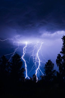 Gece gök gürültülü bir fırtınada, karanlık gökyüzüne karşı, bir yangına neden olan bir ormanda, yağmurlu bir fırtınada güzel bir yıldırım.