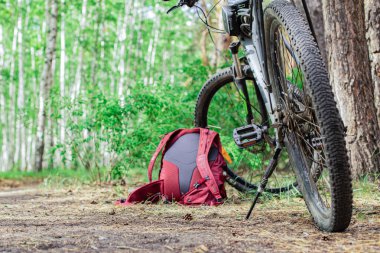 Bir kozalaklı çalılığın içinde, yerde, bir bisikletin yanında yatan bir yürüyüş çantası.