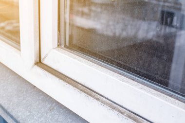 Lastik eldivenli bir kadın kalıbı işaret ediyor. Kir ve küften yapılmış plastik pencere ve pencere pervazı. Islak pencerede mantar ve nem var. Mesaj için yer var. Sığ alan derinliği.