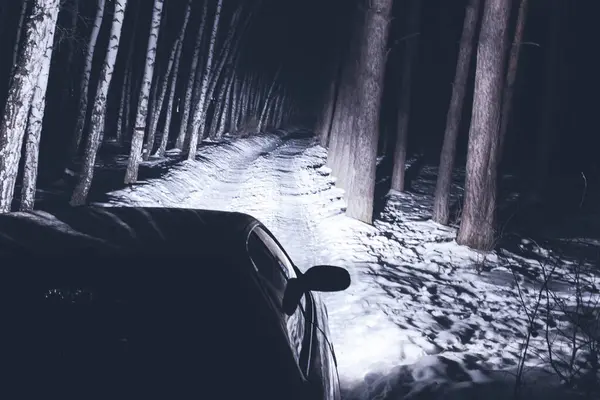 sports car with high beam on in a winter pine forest at night, front and background blurred with bokeh effect