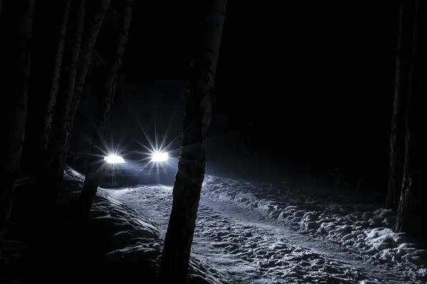 sports car with high beam on in a winter pine forest at night, front and background blurred with bokeh effect