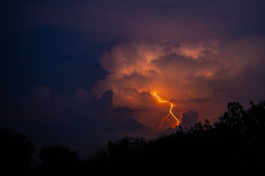Gece gök gürültülü bir fırtınada, karanlık gökyüzüne karşı, bir yangına neden olan bir ormanda, yağmurlu bir fırtınada güzel bir yıldırım.
