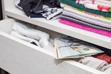 Acil durumlar için evde iç çamaşırları olan bir dolaba para zulaladım.