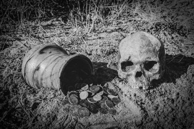 Eski bir yerleşim yerinde metal detektör kullanılarak yapılan bir aramada bulunan bir sürahide bulunan antik madeni para birikintisi ve antik bir şehirdeki bir mezarlıkta bulunan doğal bir kafatası.