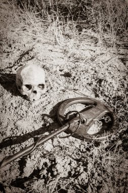 Korsanlar ve altın arayıcıları tarafından metal dedektörünün yardımıyla kadim bir kafatasıyla yağmalanmış bir mezar ve bir mezar yığını.