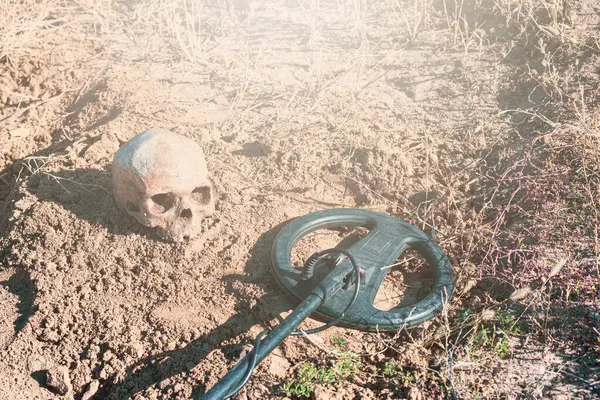 Korsanlar ve altın arayıcıları tarafından metal dedektörünün yardımıyla kadim bir kafatasıyla yağmalanmış bir mezar ve bir mezar yığını.