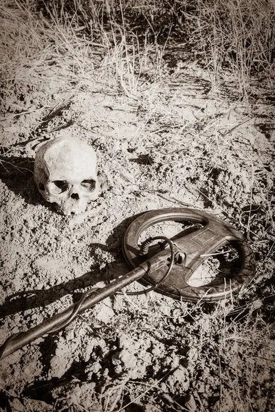 Korsanlar ve altın arayıcıları tarafından metal dedektörünün yardımıyla kadim bir kafatasıyla yağmalanmış bir mezar ve bir mezar yığını.