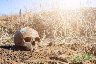 Çöldeki kumların üzerinde yaşlı bir adamın kafatası savaştan sonra antik yerleşim yerindeki kazı sırasında bulundu.