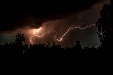 Gece gök gürültülü bir fırtınada, karanlık gökyüzüne karşı, bir yangına neden olan bir ormanda, yağmurlu bir fırtınada güzel bir yıldırım.