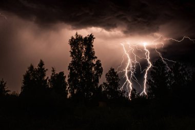 Gece gök gürültülü bir fırtınada, karanlık gökyüzüne karşı, bir yangına neden olan bir ormanda, yağmurlu bir fırtınada güzel bir yıldırım.