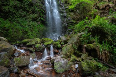 Belaustegi kayın ormanı şelalesi, Gorbea Doğal Parkı, Vizcaya, İspanya