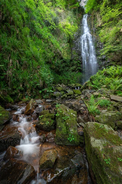 Belaustegi Kayın Ormanı Şelalesi Gorbea Doğal Parkı Vizcaya Spanya - Stok İmaj