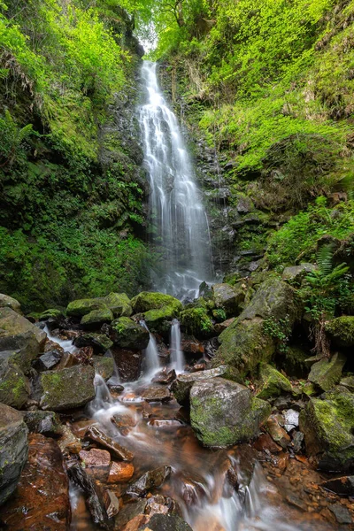 Waterfall Belaustegi Beech Forest Gorbea Natural Park Vizcaya Spain Stock Photo