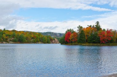 Kanada 'da güneşli bir sonbahar gününde Orman Gölü