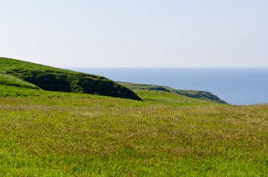 Güneşli bir günde Newfoundland, Kanada kıyıları