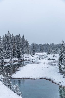 Banff Park 'ın kışın Trans Canada Otoyolu' ndaki manzarası