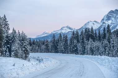 Jasper Park 'ın kışın buz tarlaları boyunca manzarası Pkwy