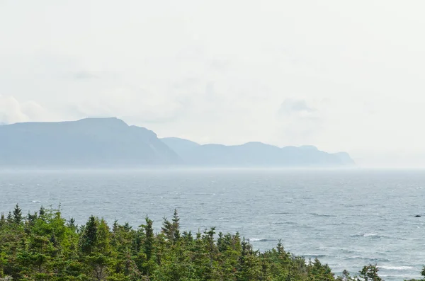 Yazın Newfoundland Sahili — Stok fotoğraf