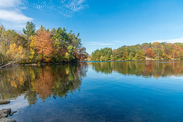 Голубое Небо Над Лесным Озером Цветущими Деревьями — стоковое фото