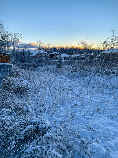 加拿大 冬天的早晨 小镇被雪覆盖着 — 图库照片