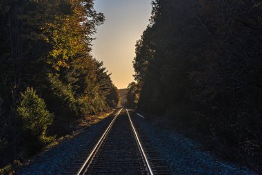 Kanada 'nın Merkez Ontario kentinde sonbahar akşamı ormanlarında demiryolu