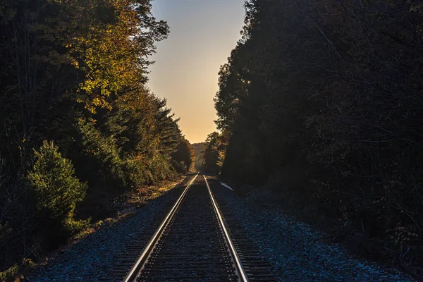 Railway Fall Evening Forest Central Ontario Canada — Stock Photo, Image