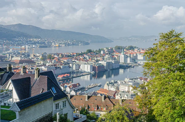Small houses on hills around harbor of Bergen, Norway.