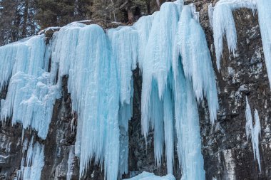 Banff Park, Alberta, Kanada 'daki Johnston Şelalesine giden yol