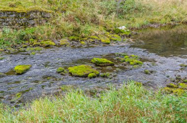 Dağ nehrinin manzarası. Norveç.