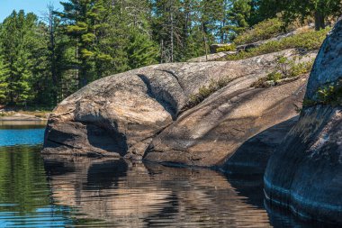 Yaz mevsiminde Forest Gölü. Grundy Lake Parkı. Kanada