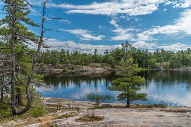 Yaz mevsiminde Forest Gölü. Grundy Lake Parkı. Kanada