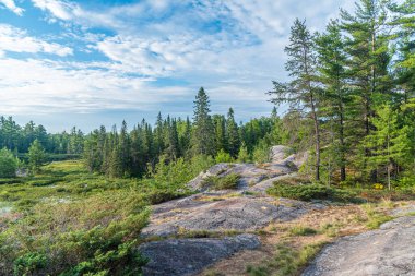 Yaz mevsiminde Forest Gölü. Grundy Lake Parkı. Kanada