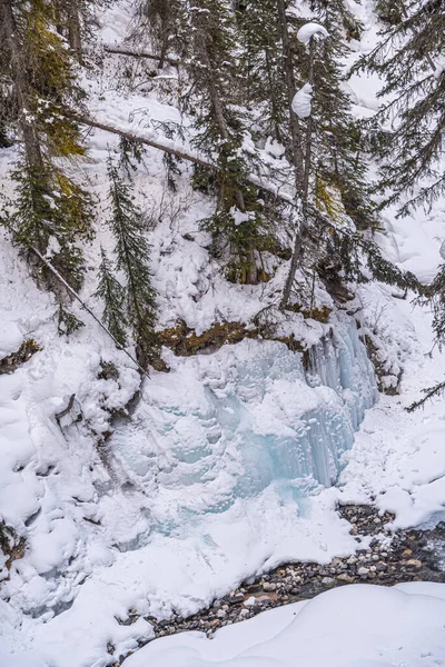 Weg Naar Johnston Waterval Banff Park Alberta Canada Rechtenvrije Stockfoto's