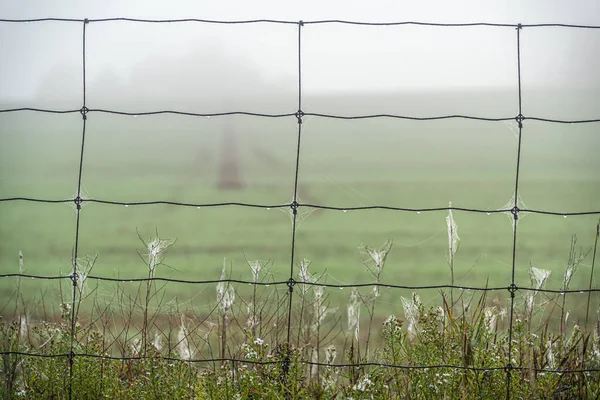 午前中は強い霧と田舎の農場 ストック写真