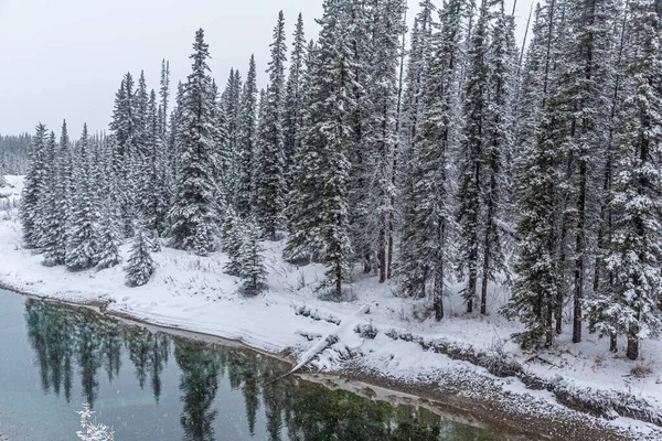 Вид Банф Парк Вздовж Транс Канаду Зимовий Час Ліцензійні Стокові Зображення