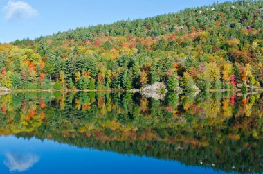 Killarney Park, Kanada 'da Orman Gölü' nün üzerinde gün doğumu