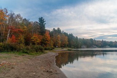 Killarney il parkında, Orman Gölü 'nde günbatımı