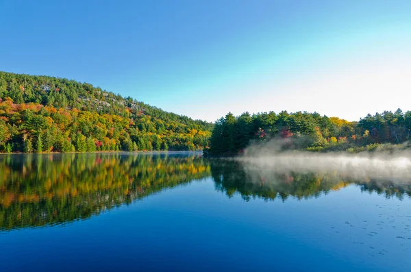 カナダのキラーニー公園の森林湖の上の日の出 ロイヤリティフリーのストック画像