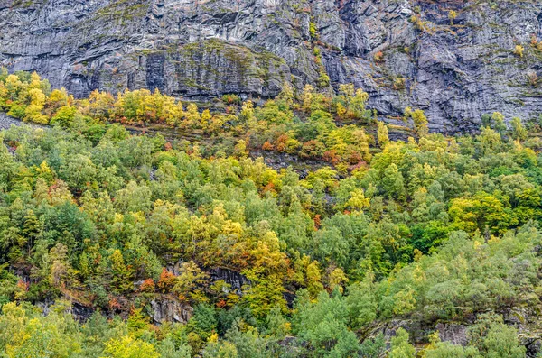 Гора Узгір Норвегії Восени Стокове Зображення