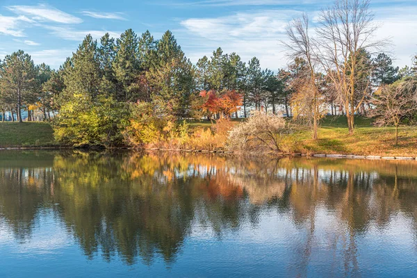 秋に池の近くの色の木 カナダのマーカム ロイヤリティフリーのストック画像