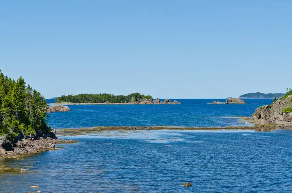 Sjön Newfoundland Kanada Sommaren Royaltyfria Stockbilder