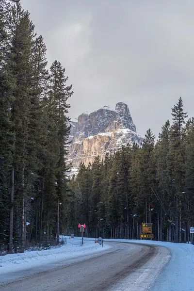 カナダのアルバータ州バンフ パークにロッキー山脈 ロイヤリティフリーのストック写真