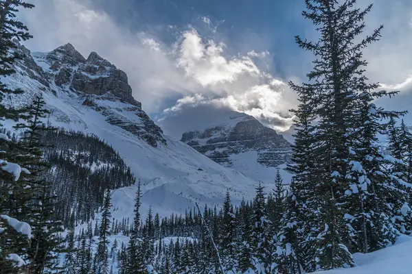 Louise Banff Park Vintern Alberta Kanada Stockfoto