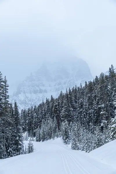 Louise Banff Park Vintern Alberta Kanada Stockfoto